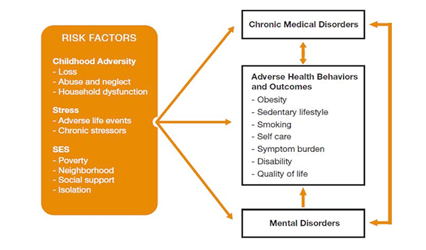 The bidirectionality of risk factors and comorbid medical and mental disorders