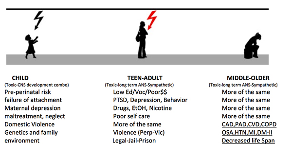 Figure 3: [Raabe & Spengler, Frontiers in Psychiatry]
