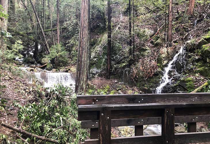 bridge and waterfall
