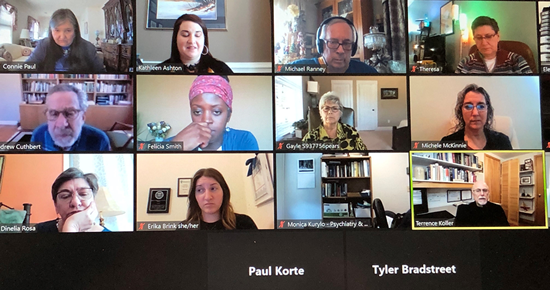 APA Div. 31 virtual midwinter meeting