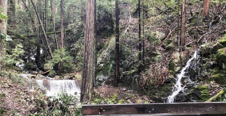 bridge overlooking a waterfall in the woods
