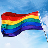 lgbtq+ flag