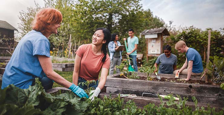 People planting a garden.