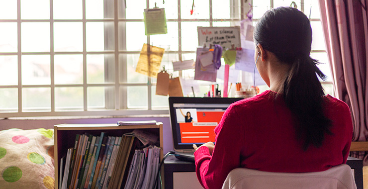 Online learning during the pandemic