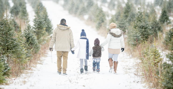winter 2019
