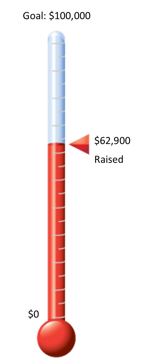 div-20-fundraising-60400