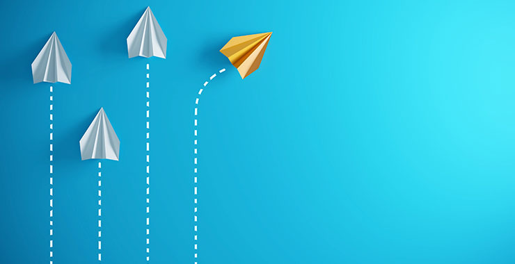 The Group Psychologist: November 2023