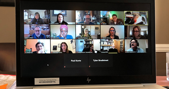 APA Div. 31 virtual midwinter meeting
