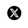 x icon